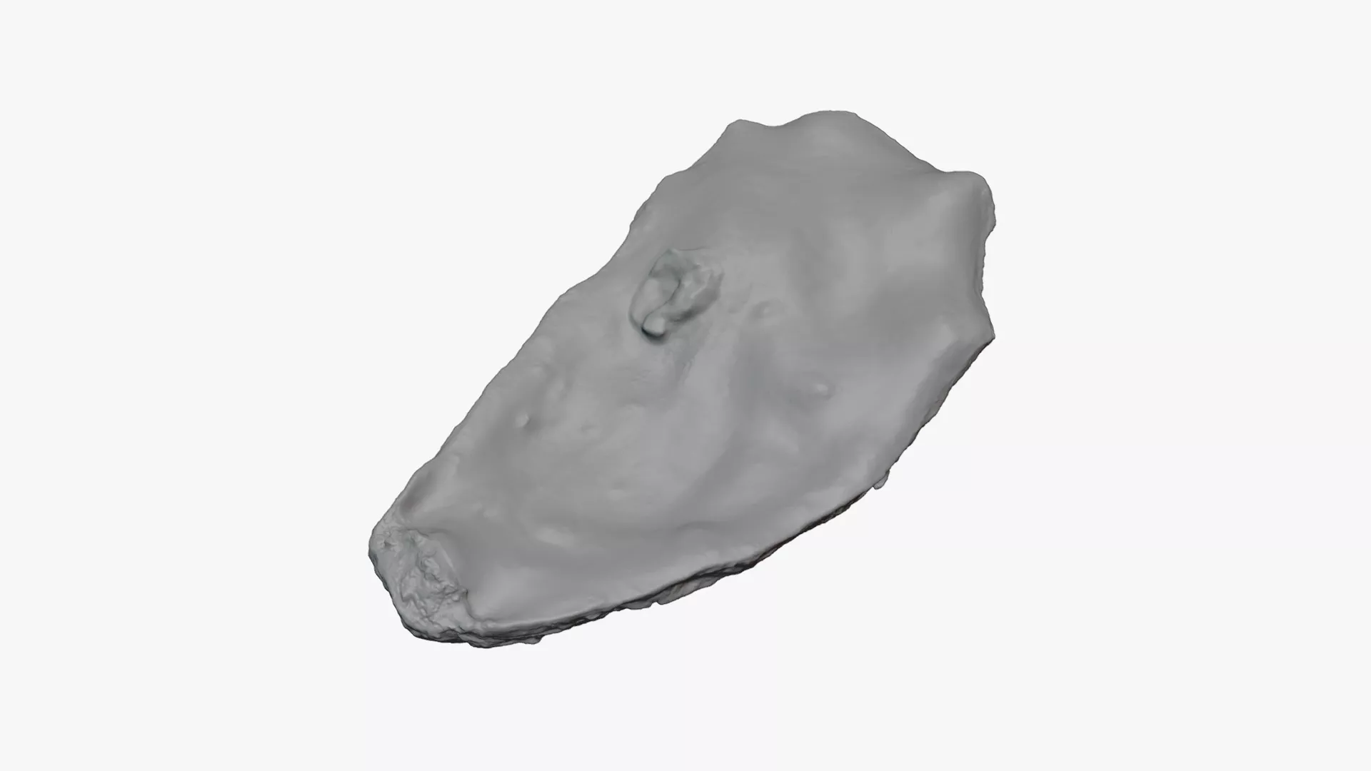 Top Half Oyster 01 - For 3D Print 3D print model
