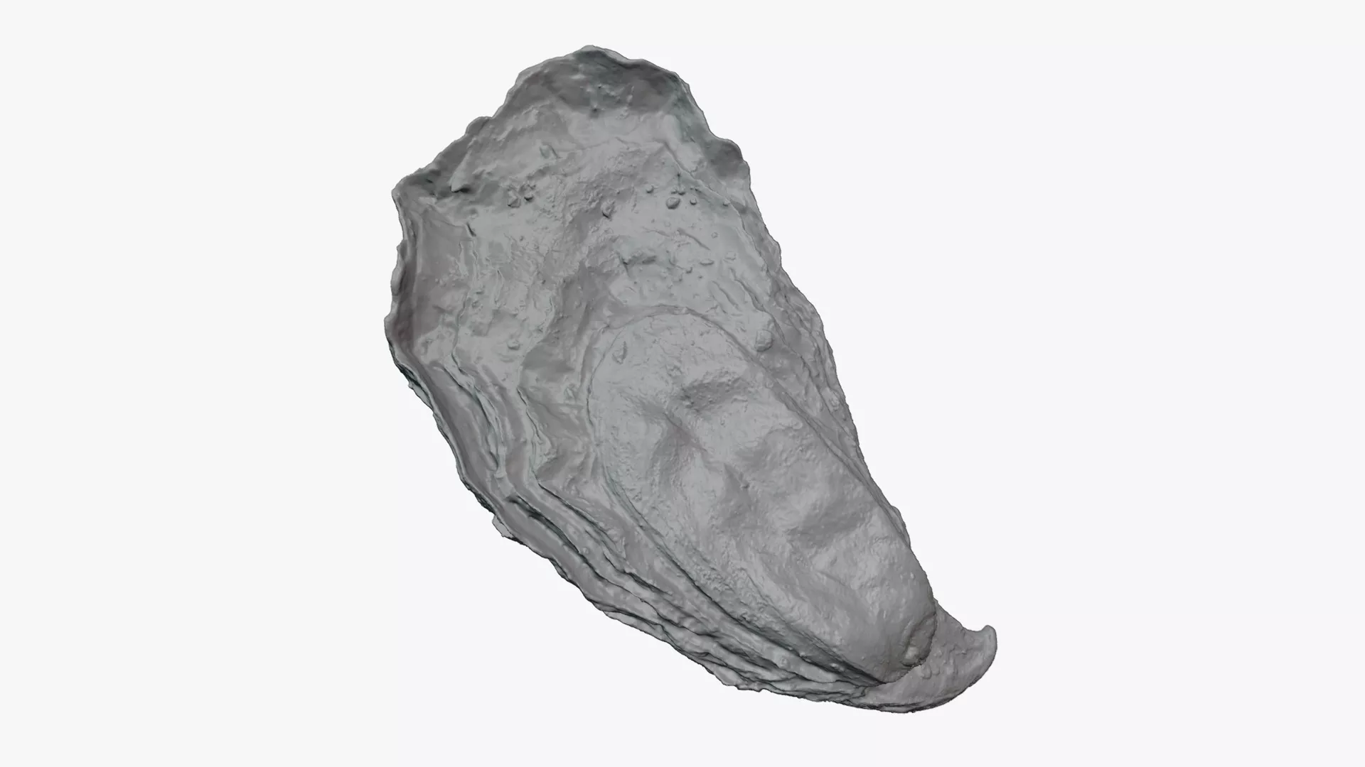 Oyster 01 - For 3D Print 3D print model