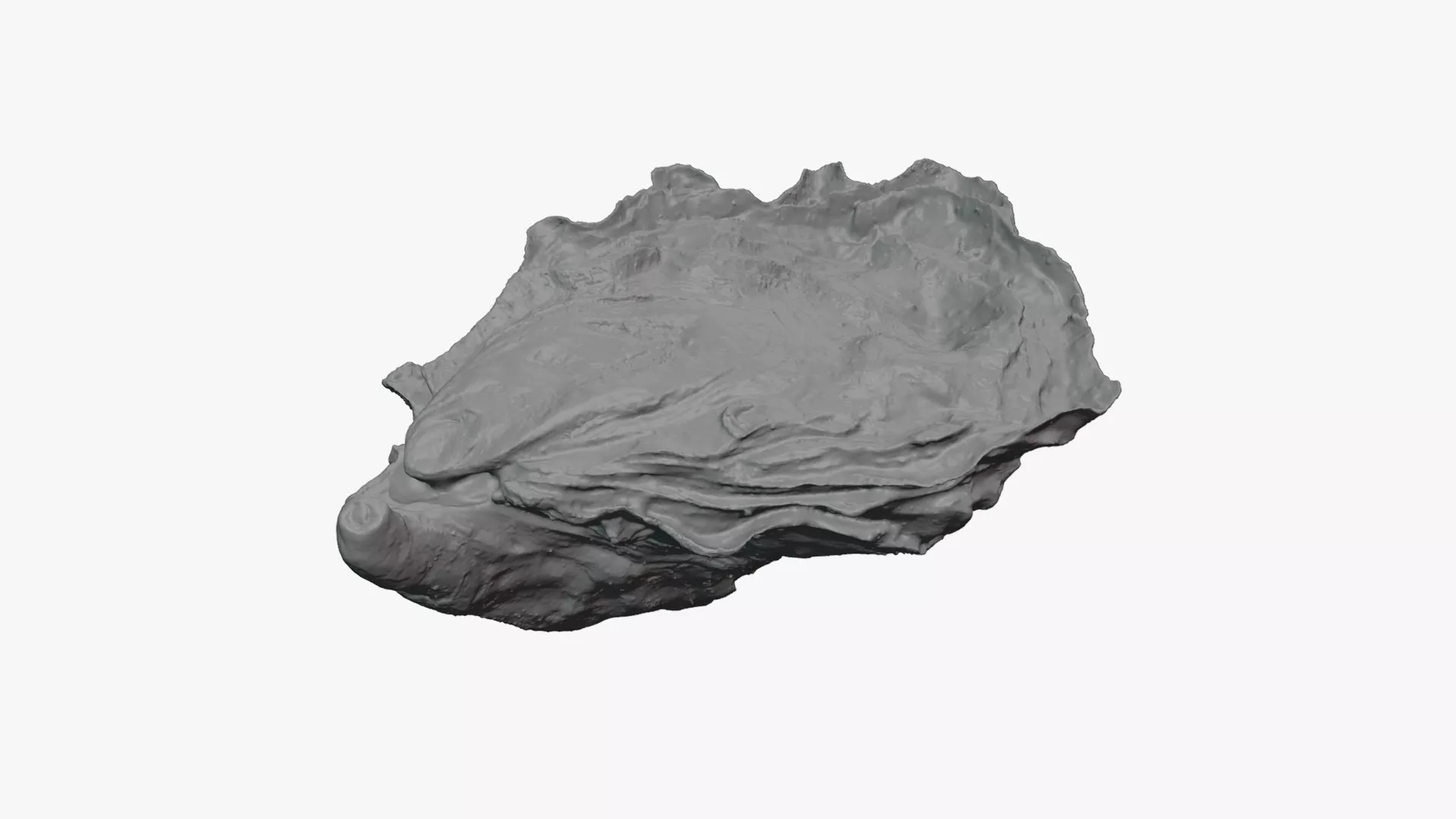 Oyster 02 - For 3D Print 3D print model
