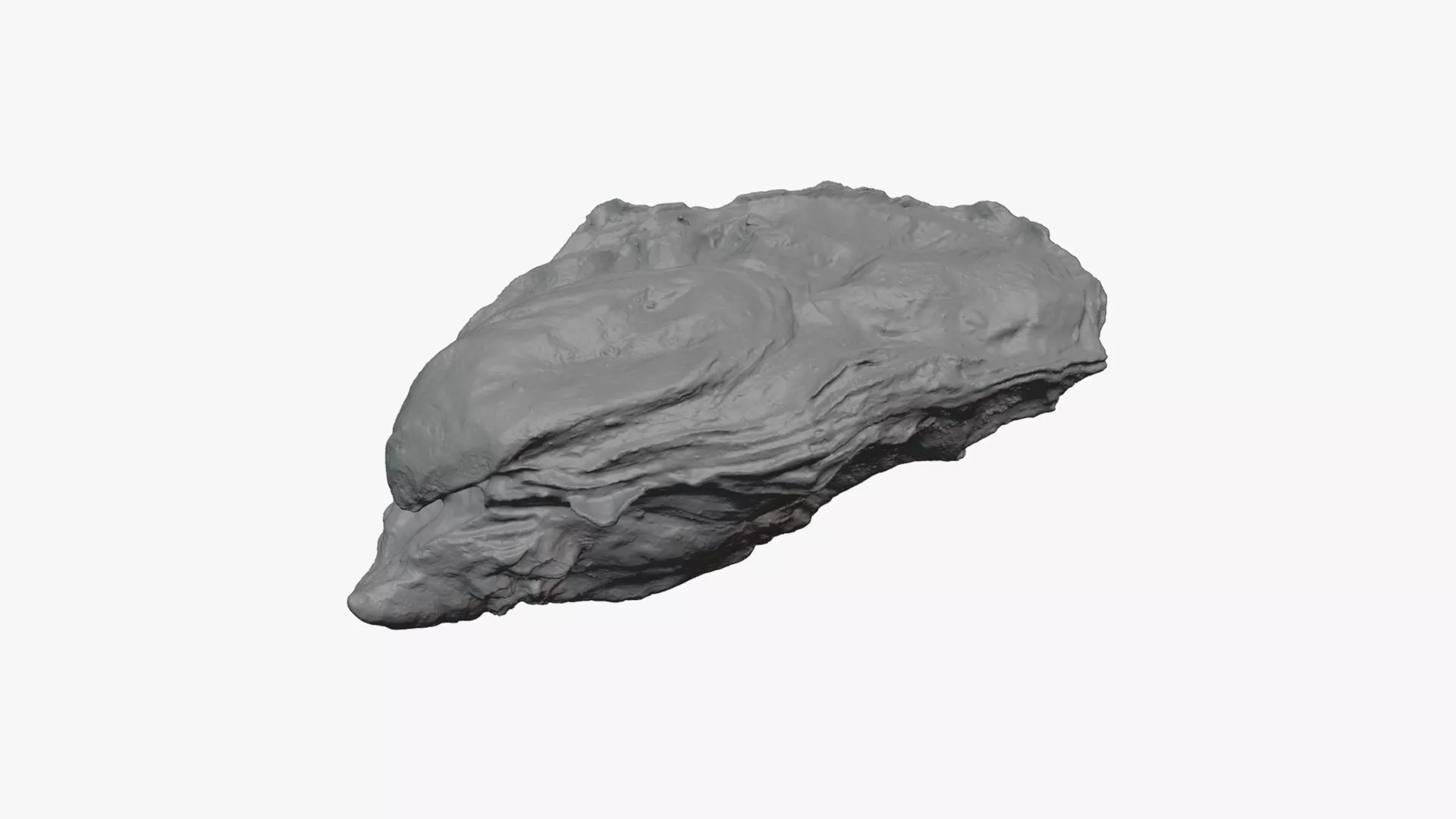Oyster 03 - For 3D Print 3D print model