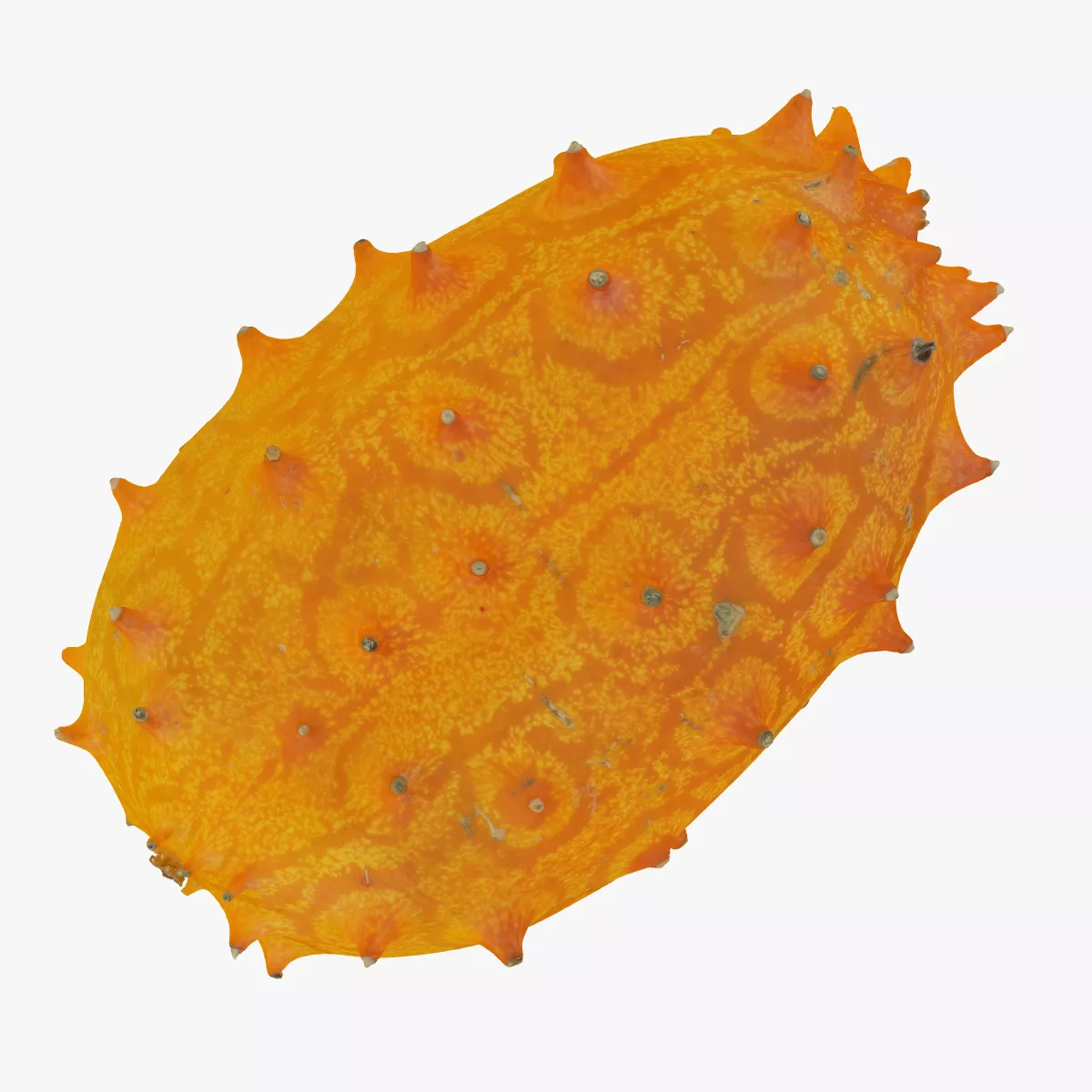 Horned Melon Kiwano 04 RAW SCAN 3D model