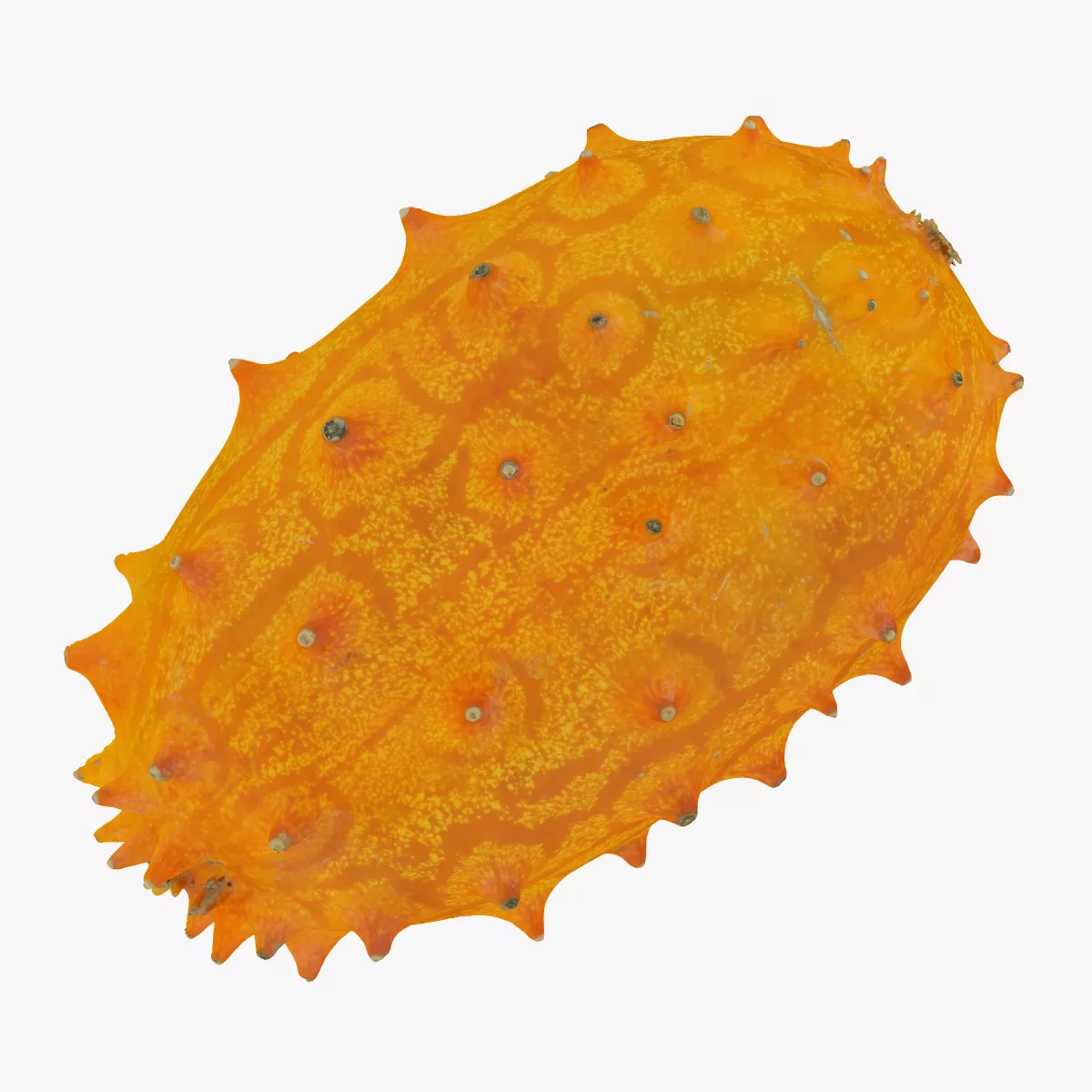 Horned Melon Kiwano 03 RAW SCAN 3D model