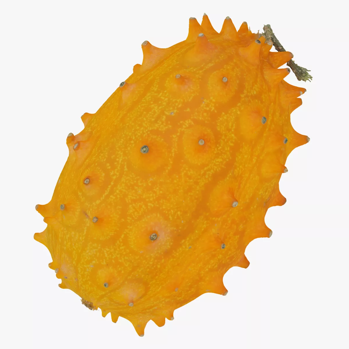 Horned Melon Kiwano 02 RAW SCAN 3D model