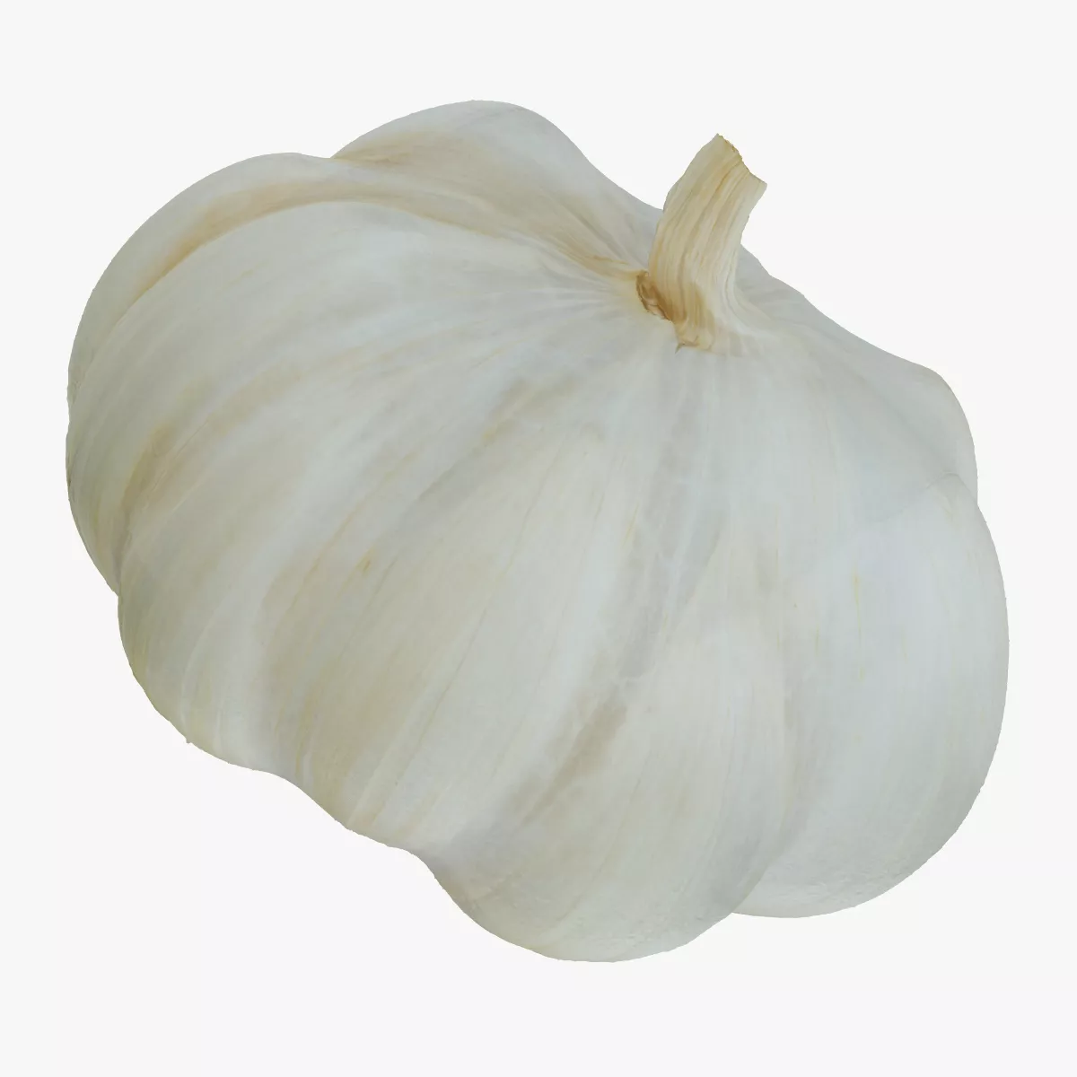 Garlic 05 RAW SCAN 3D model