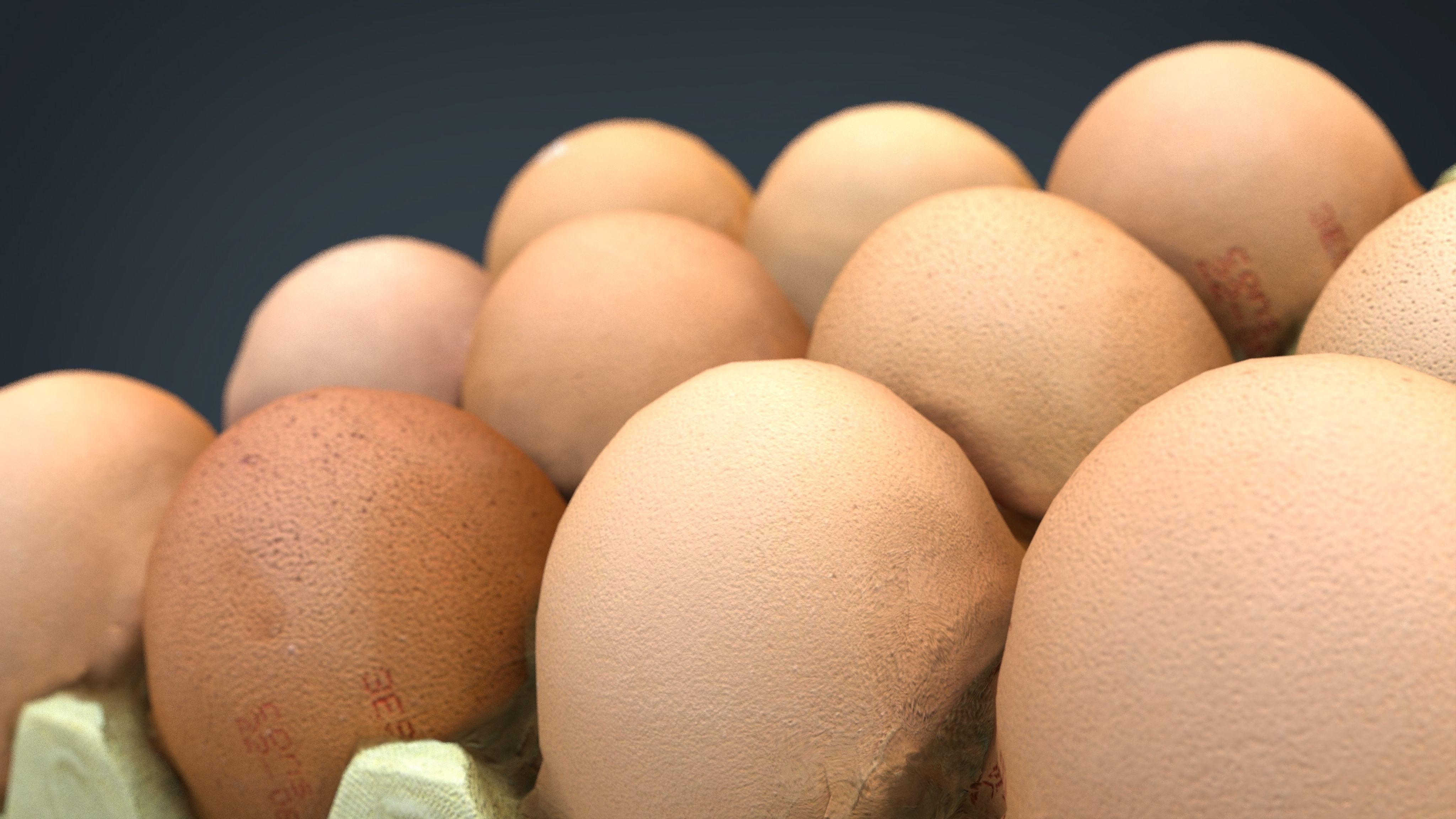 A Dozen Eggs Low-poly 3D model_10