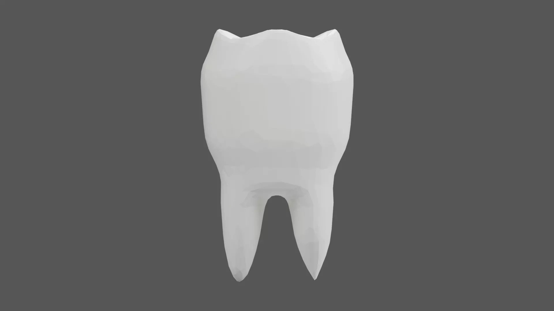 White Molar Tooth with Divided Roots Low-poly 3D model