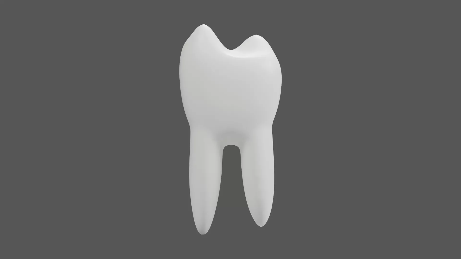 Slender Dental Tooth with Twin Roots Low-poly 3D model