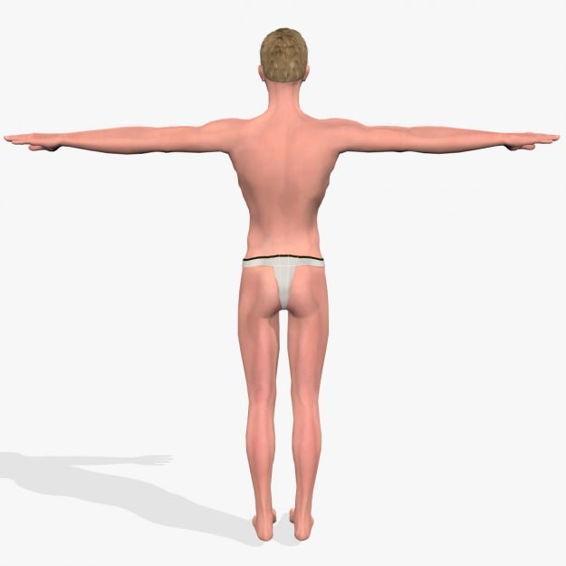 Sexy Young Man A3 Low-poly 3D model_10