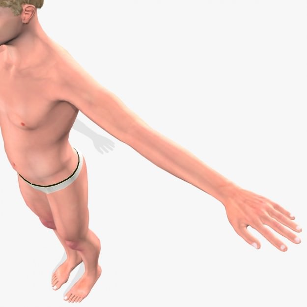 Sexy Young Man A3 Low-poly 3D model_6