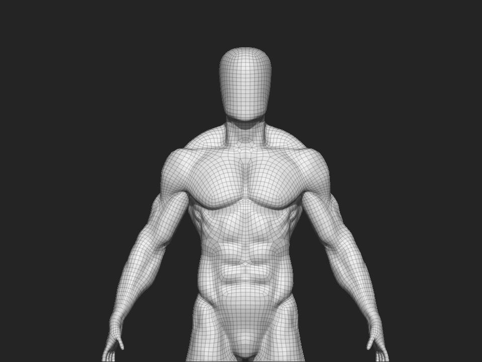 anatomy male 3D model_15