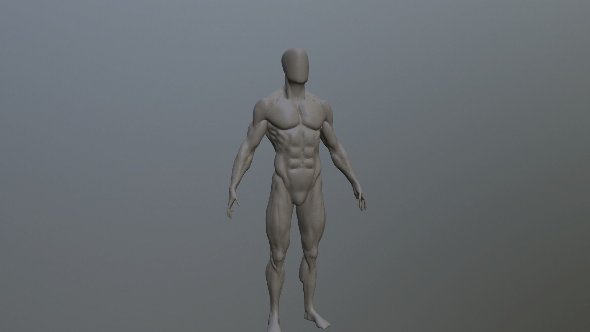 anatomy male 3D model_3