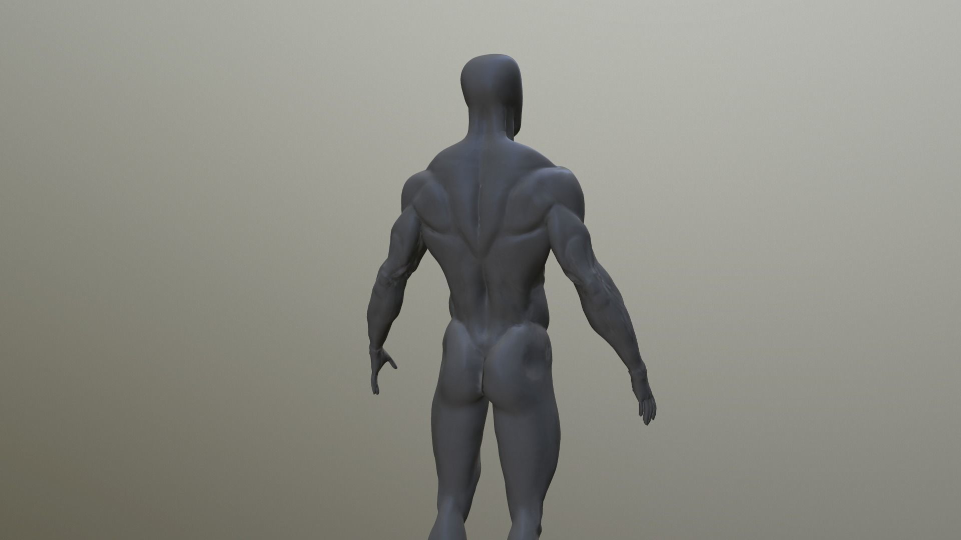 anatomy male 3D model_4