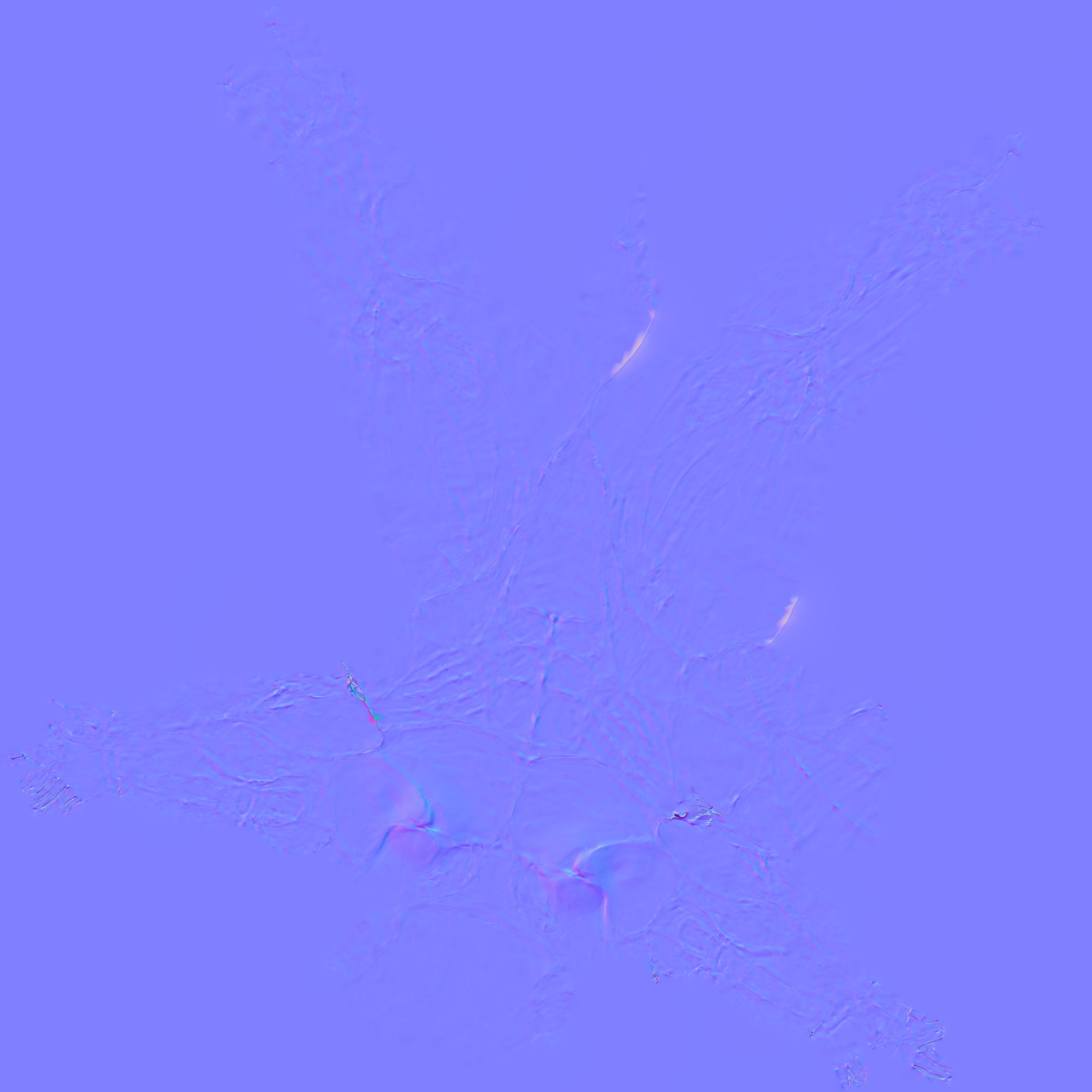 anatomy male 3D model_25