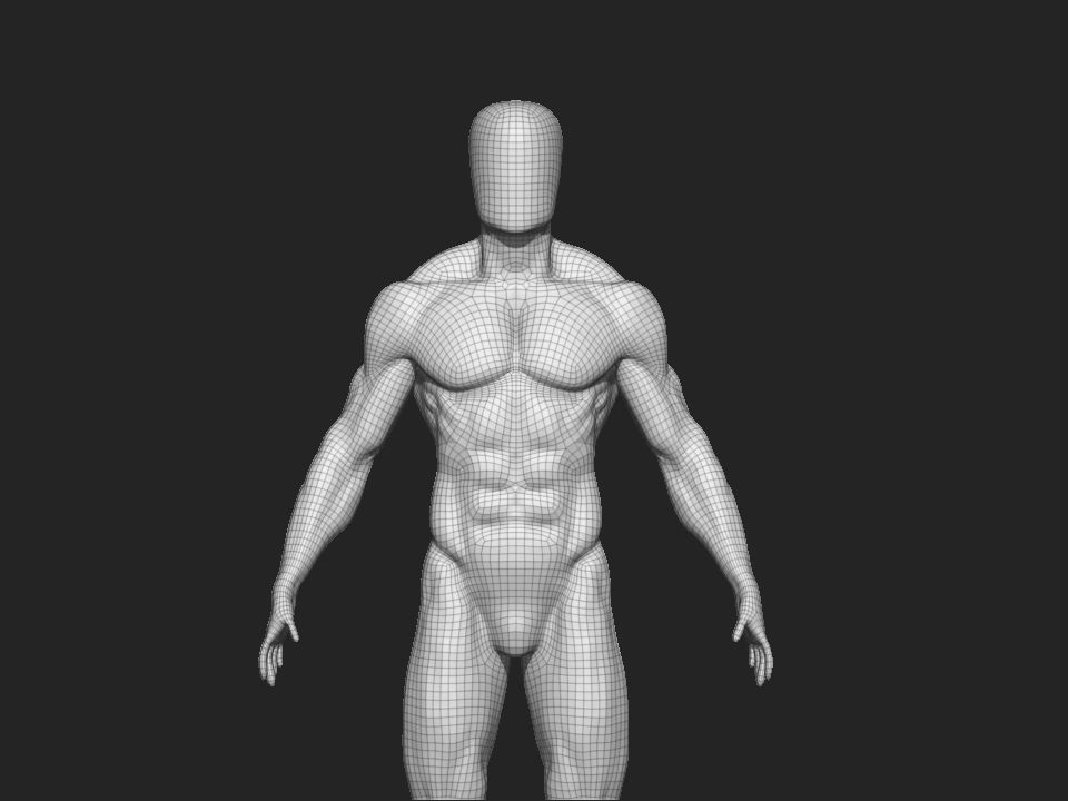 anatomy male 3D model_12