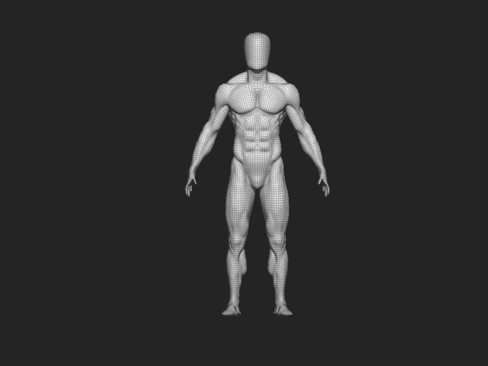 anatomy male 3D model_9