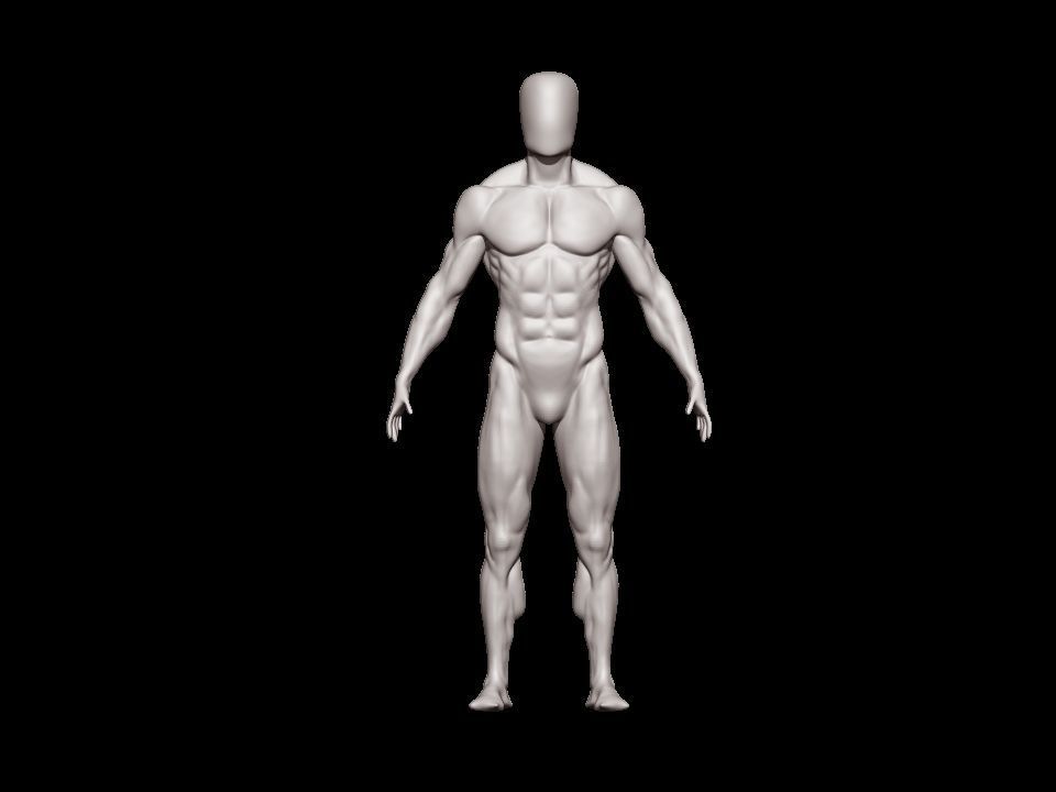 anatomy male 3D model_20