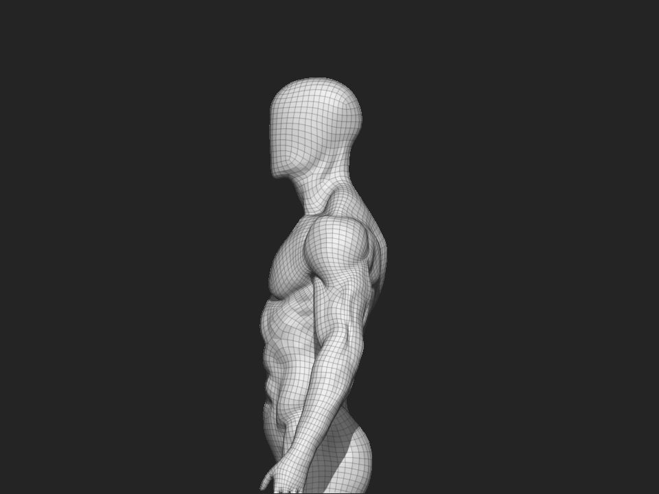 anatomy male 3D model_16
