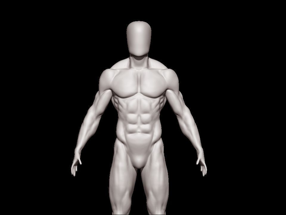 anatomy male 3D model_2