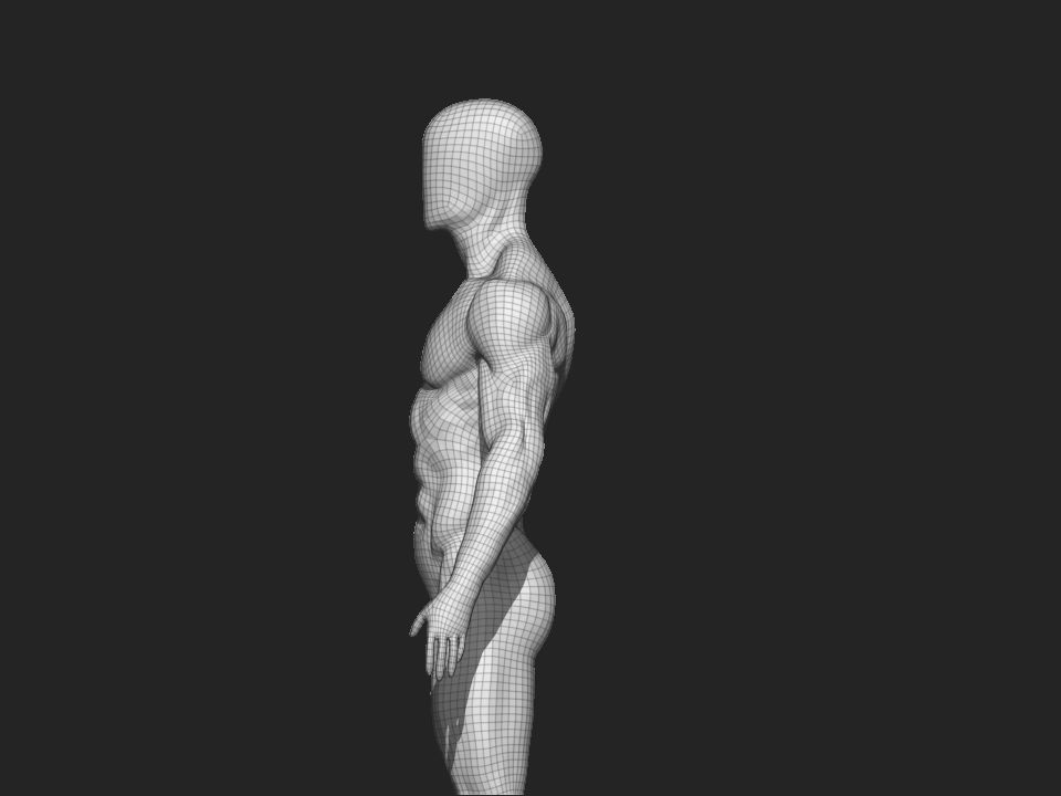 anatomy male 3D model_13
