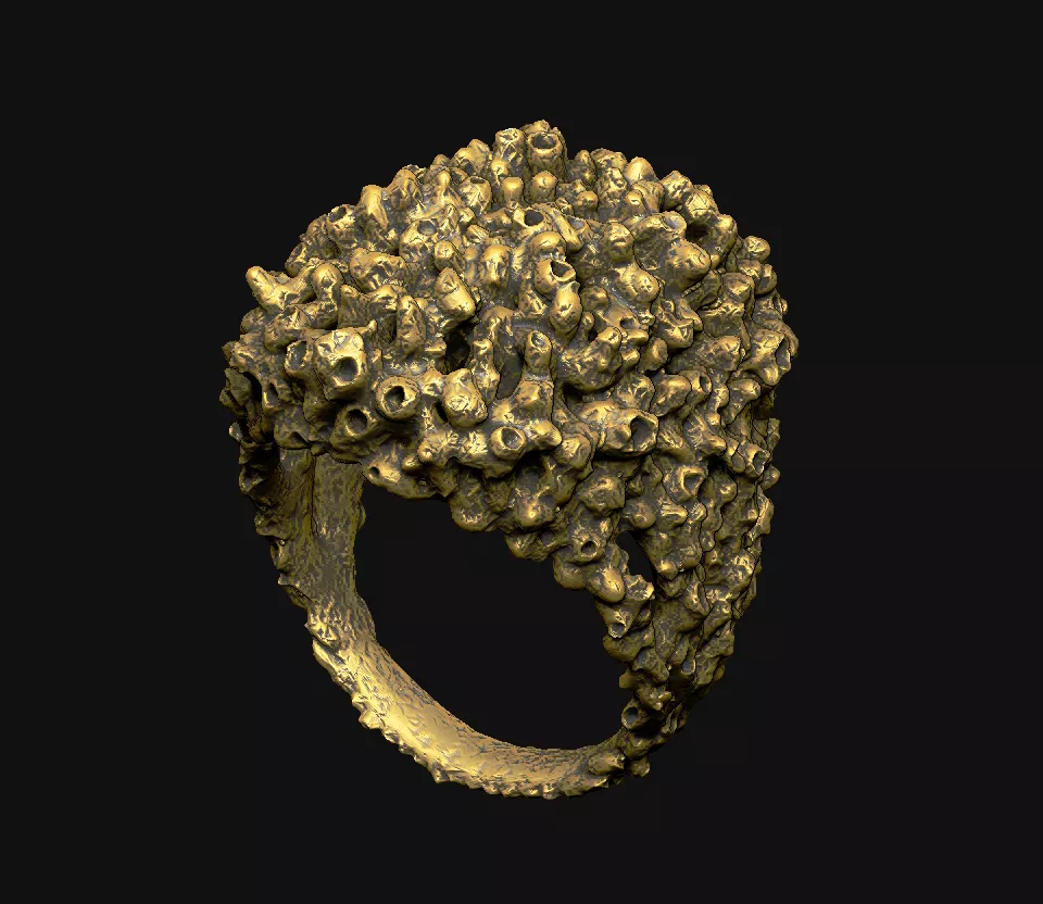 bio-form-ring-stl wearable-art-ring bespoke-coral 3D print model