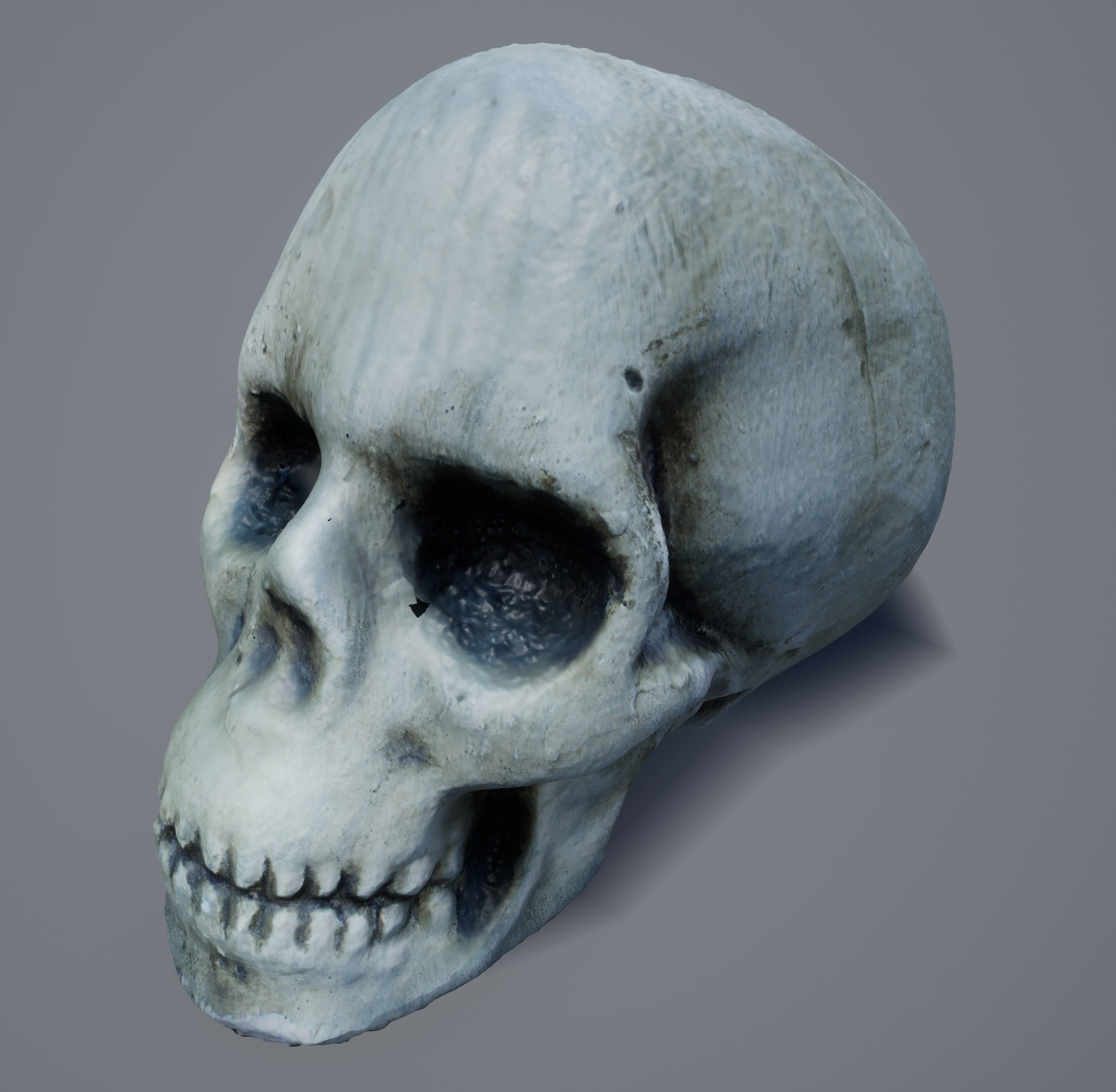 Skull Photoscanned Game Ready Free low-poly 3D model