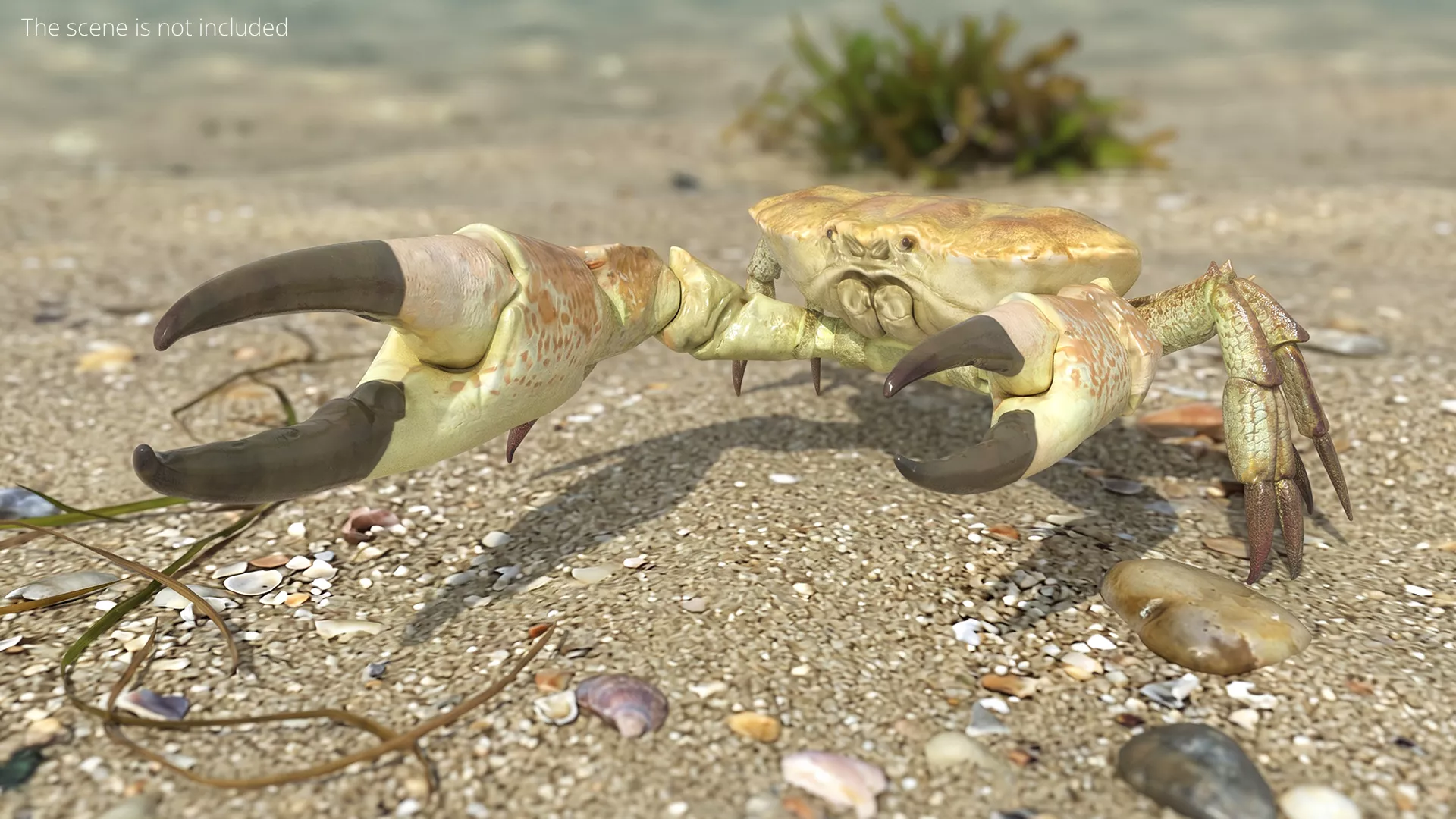 Giant Deep Sea Crab Walk Animated Rigged For Maya 3D model