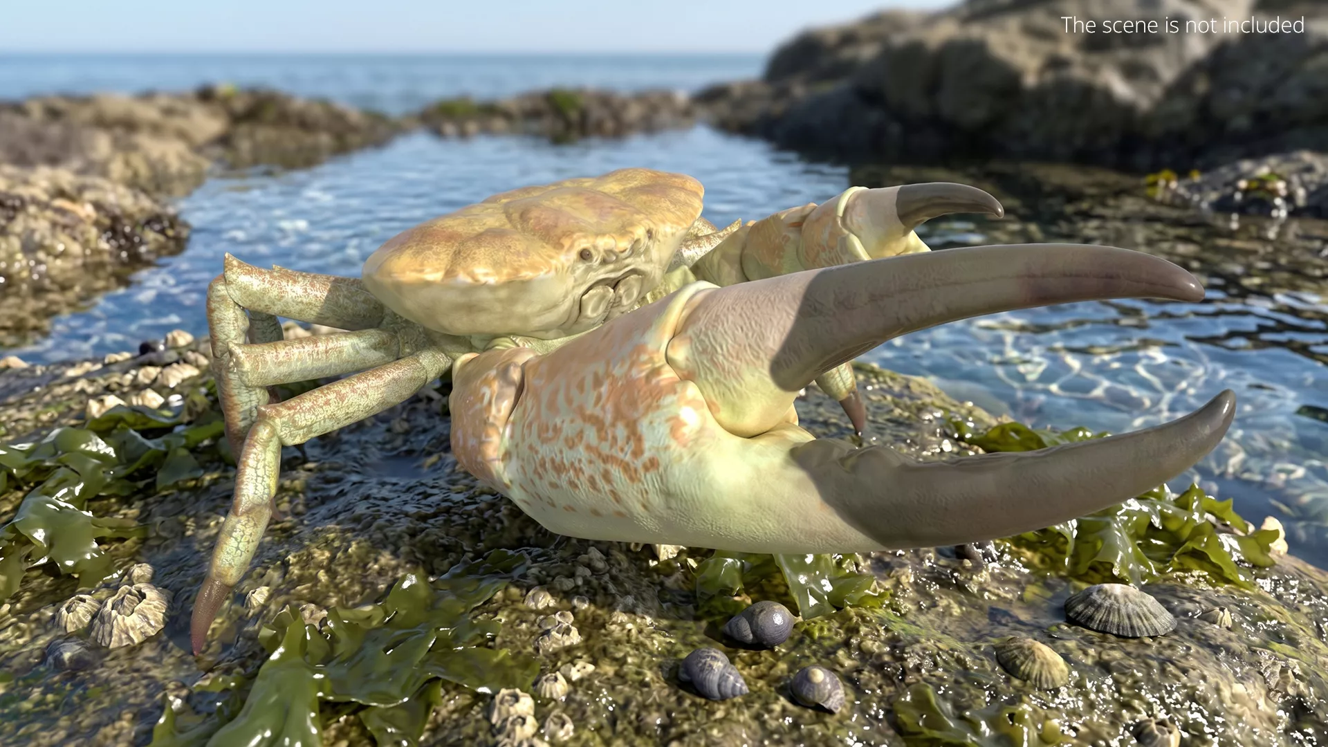 Giant Deep Sea Crab Set Animated Rigged For Maya 3D model