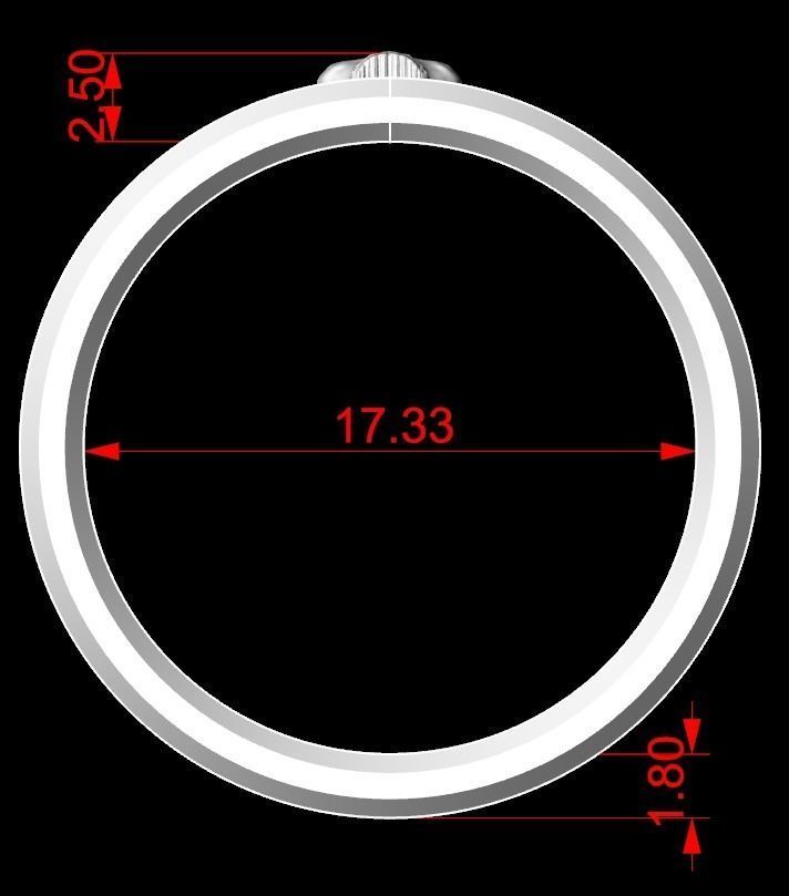 Scorpion ring and skull 137 3D print model_11