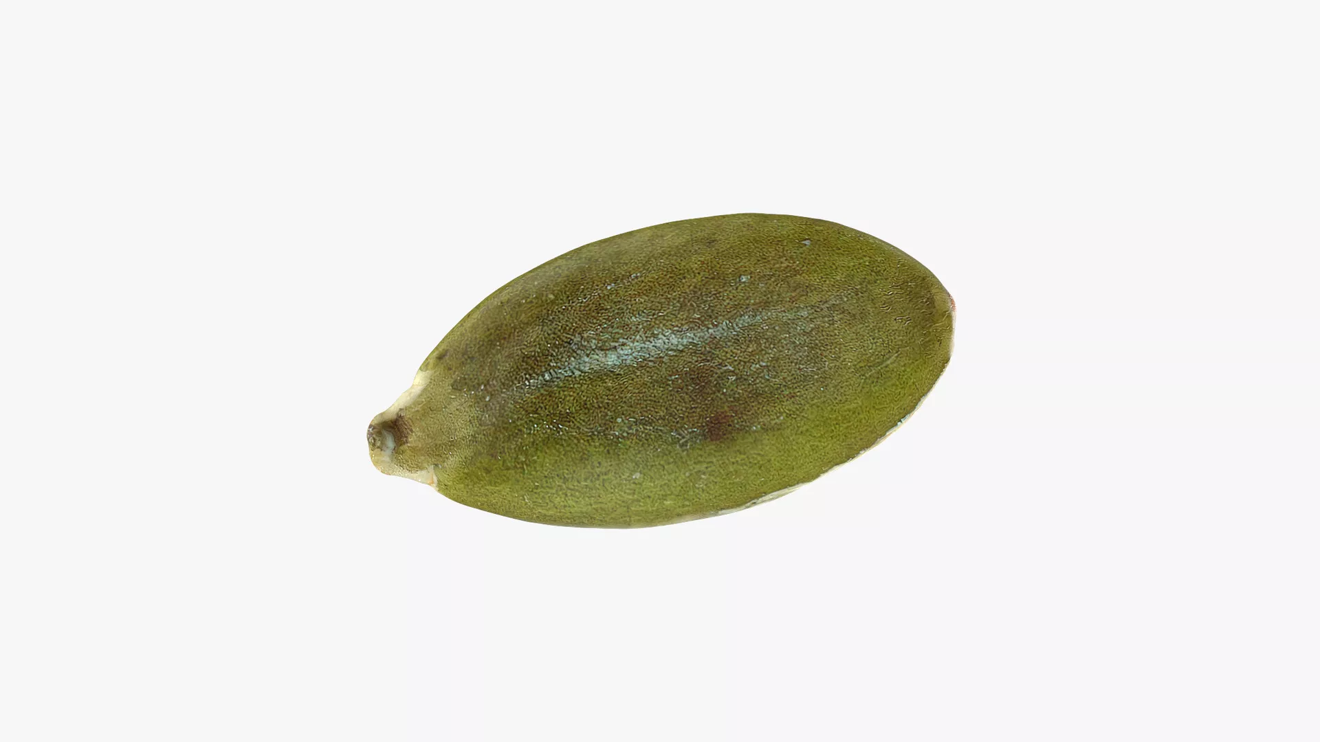 Peeled Pumpkin Seed 02 - 3D Scanned Low-poly 3D model