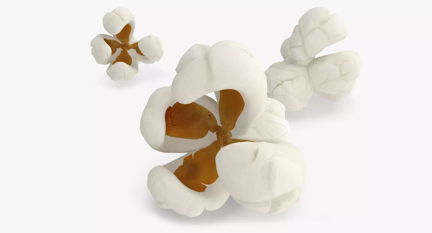 One Popcorn Kernel 3D model