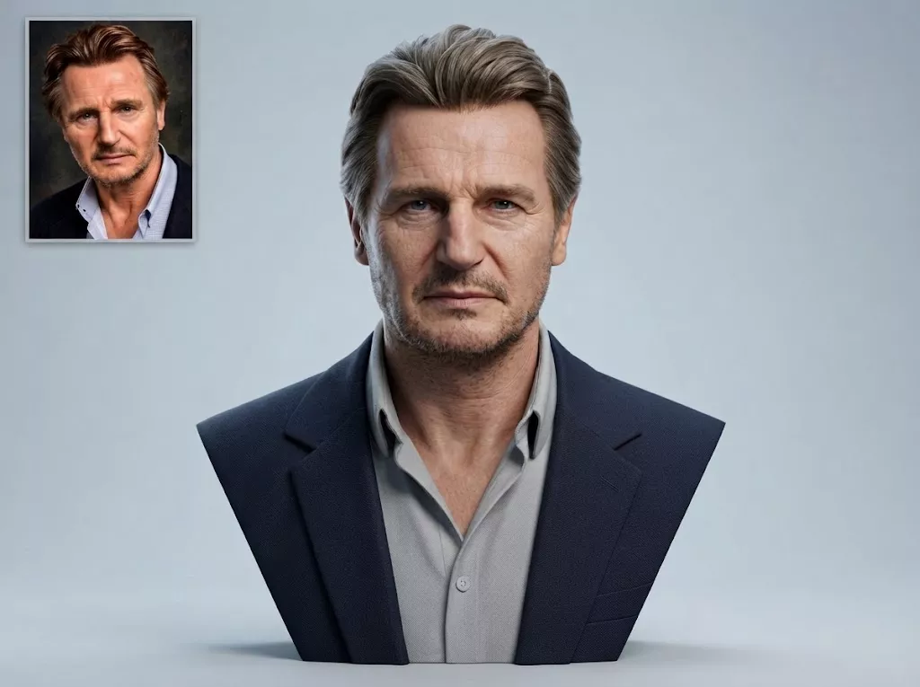 Liam Neeson 3D Printable Bust 3D print model