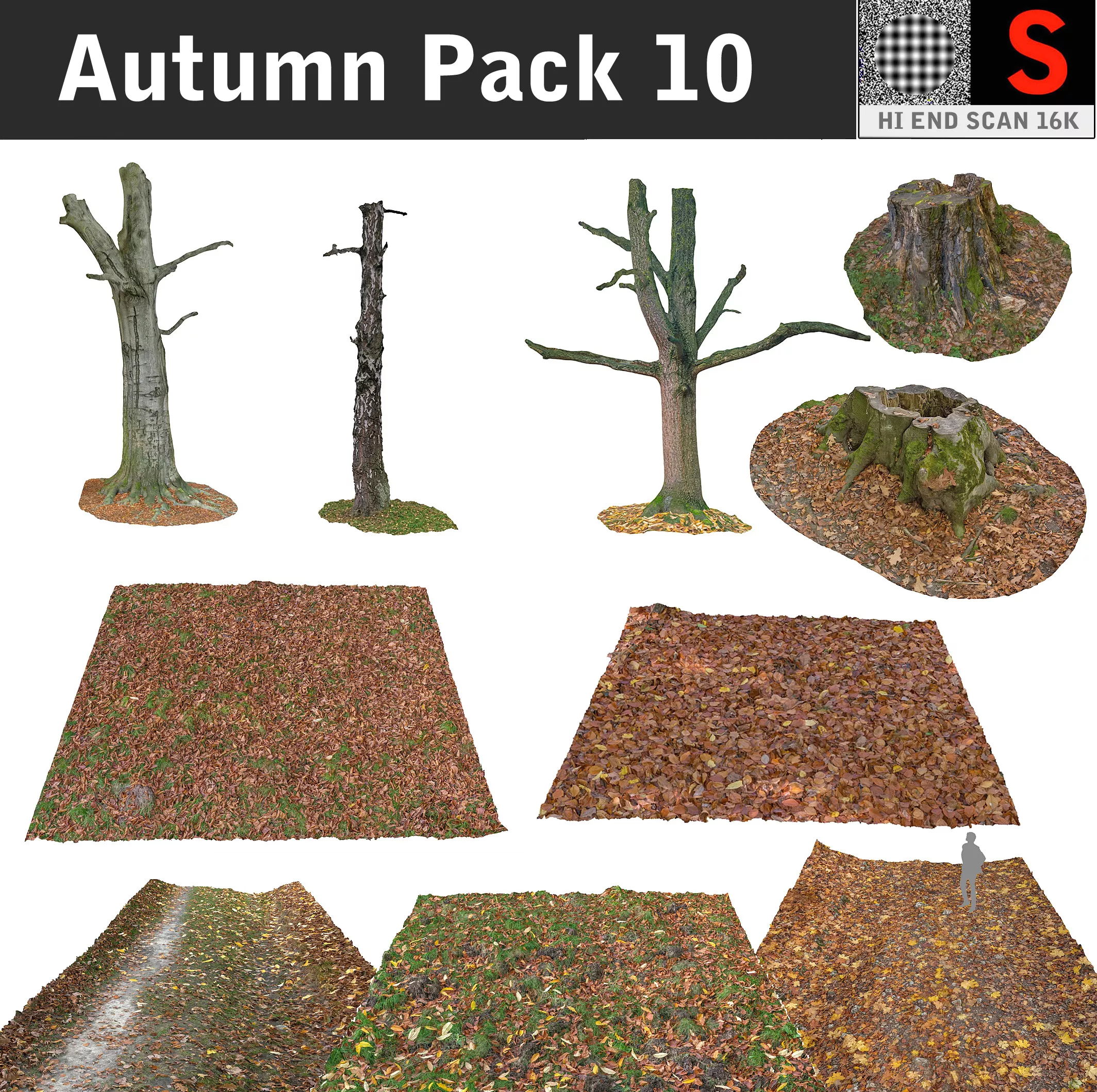 Autumn Pack 10 Low-poly 3D model