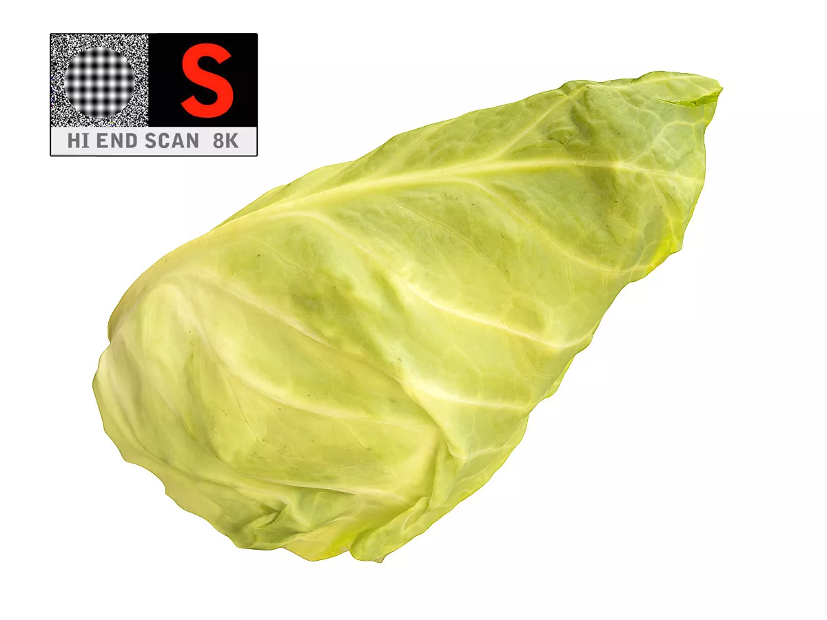 Lettuce salad 8K Low-poly 3D model