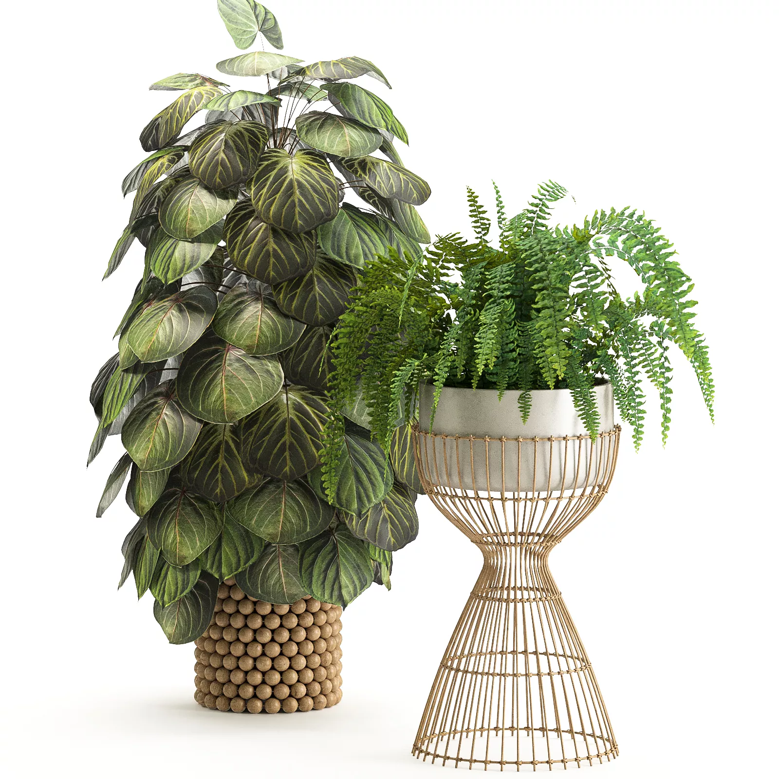 Boho Pot Plants 06 3D model