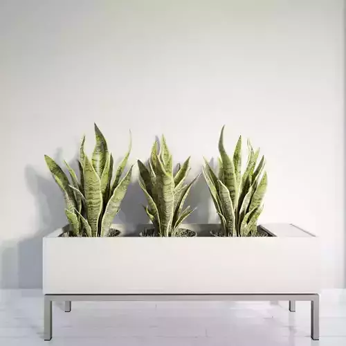 plant 26 am141 3D model