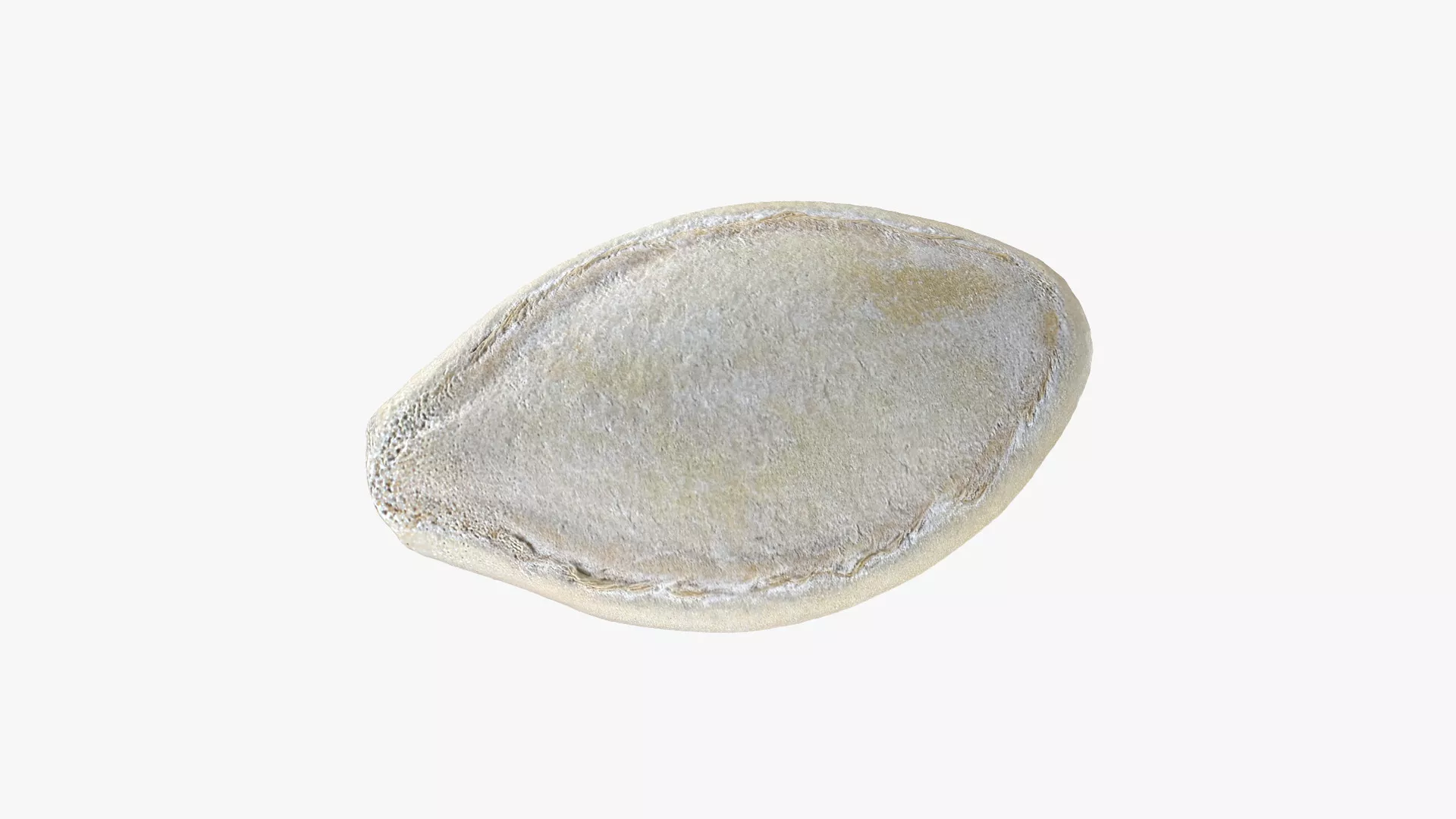 Pumpkin Seed 01 - 3D Scanned Low-poly 3D model