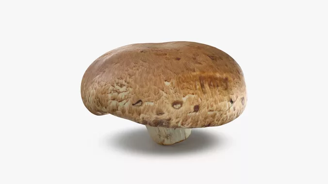 Portobello Mushroom 1 - 3D Scanned