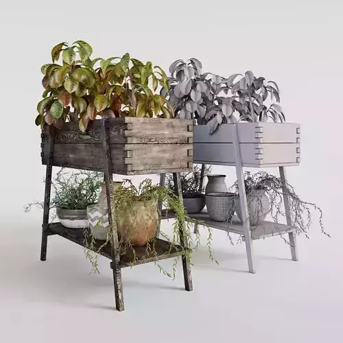 Terrace plants 2 3D model