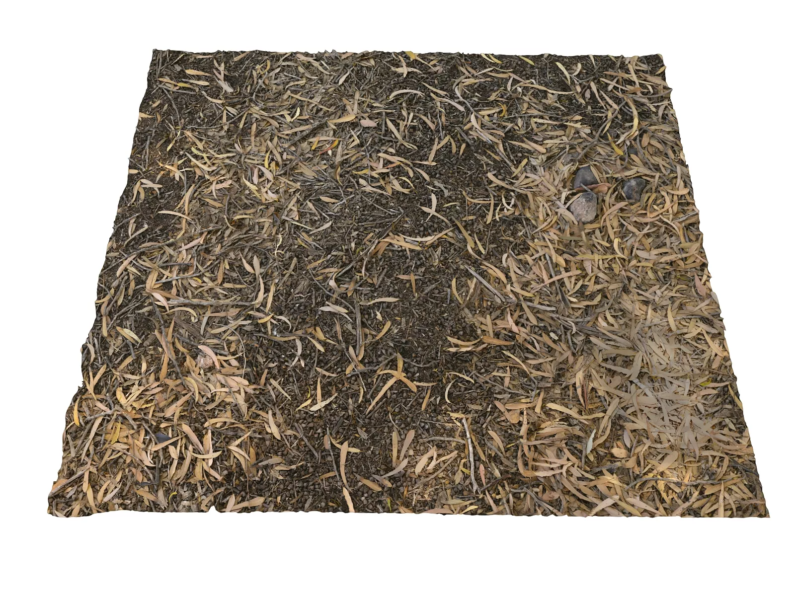 Ground jungle 16K Ultra HD Low-poly 3D model