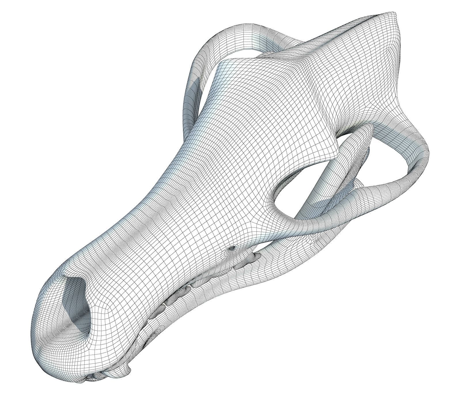 Wolf Fox Skull 3D model_9