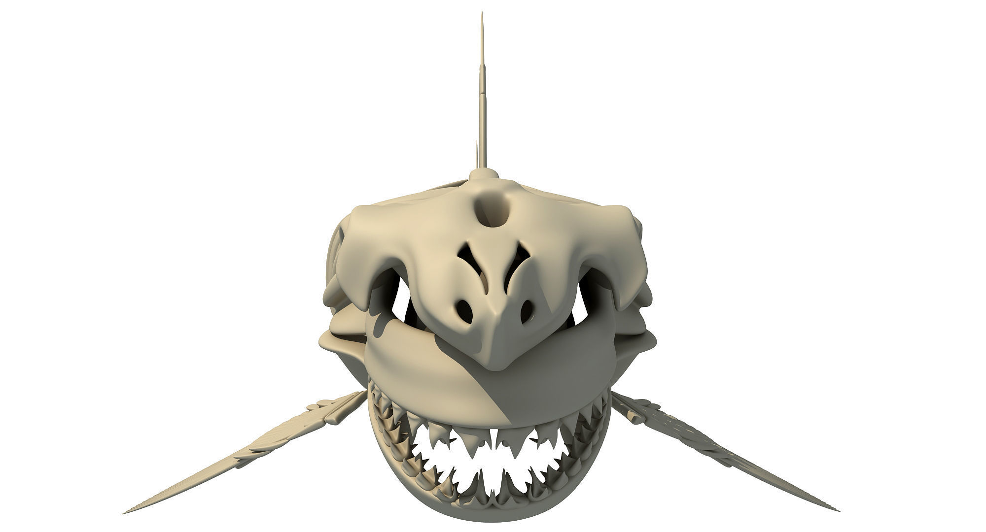 White Shark and Dolphin Skeletons 3D model_19