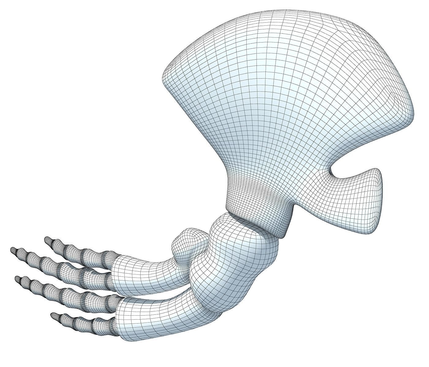 Whale Flipper Shoulder Bones 3D model_7