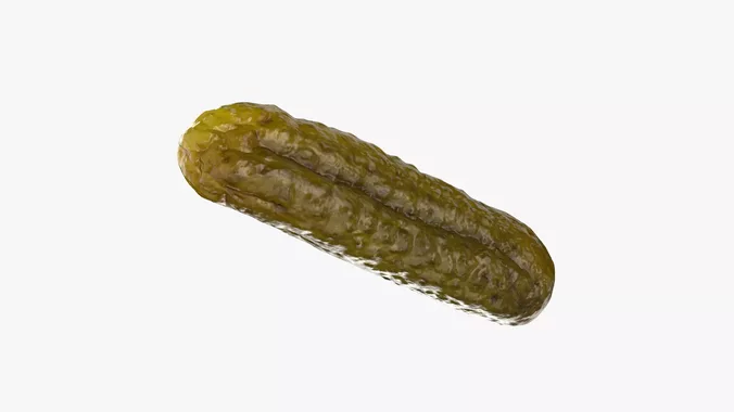 Pickled Cucumber 02 - 3D Scanned