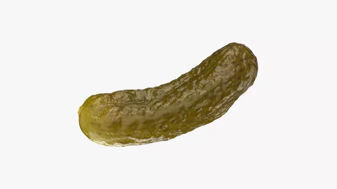 Pickled Cucumber 03 - 3D Scanned