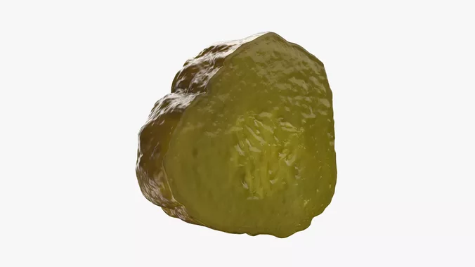 Pickle Slice - 3D Scanned