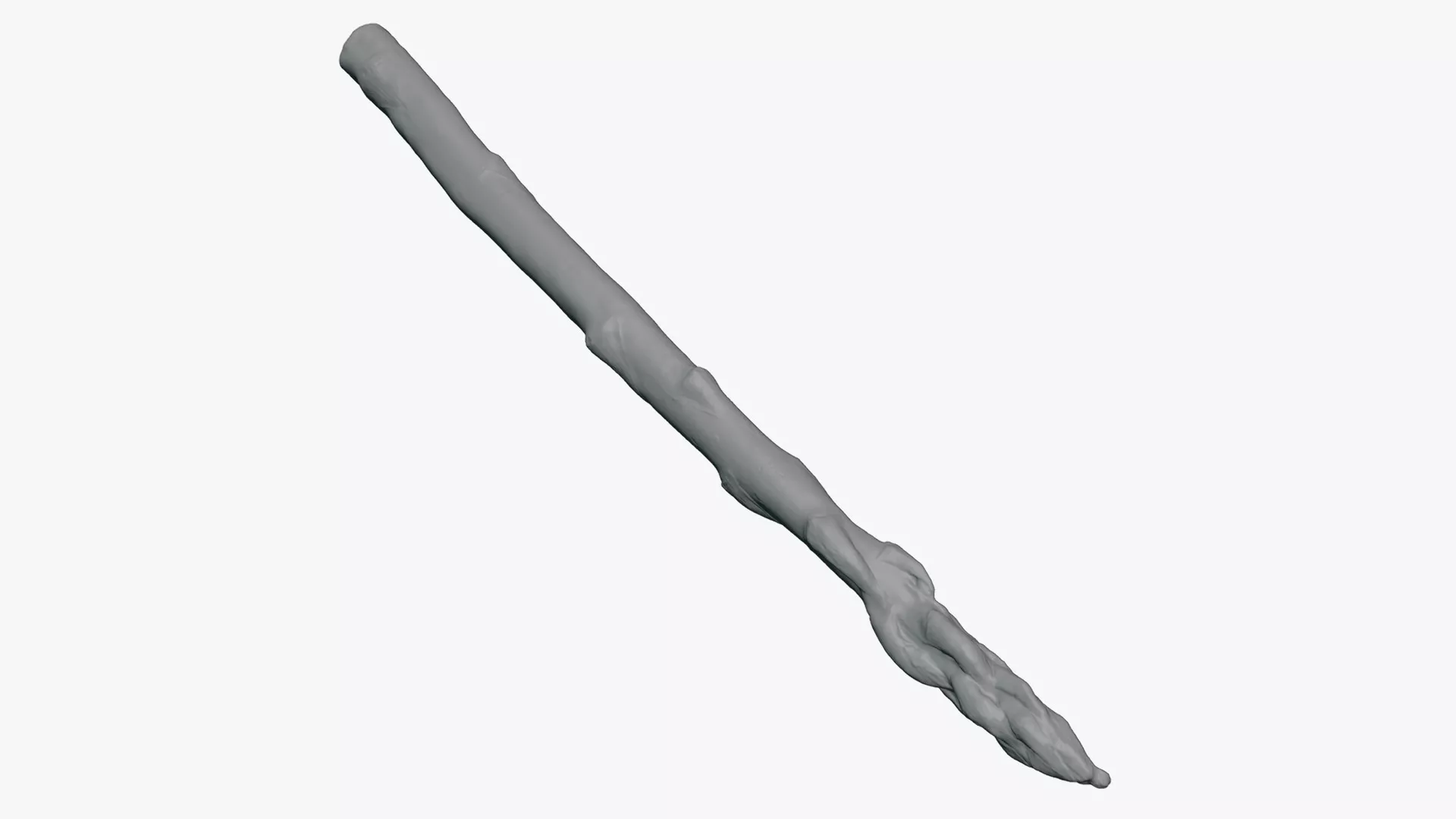 Asparagus 01 - For 3D Print 3D print model
