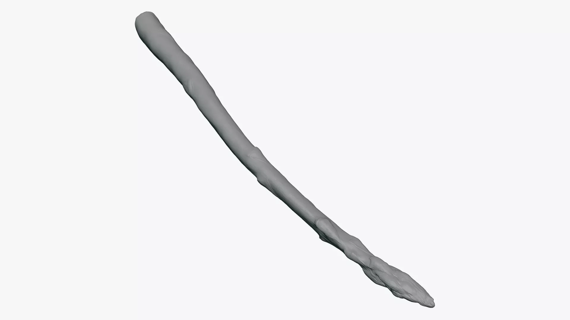 Asparagus 02 - For 3D Print 3D print model
