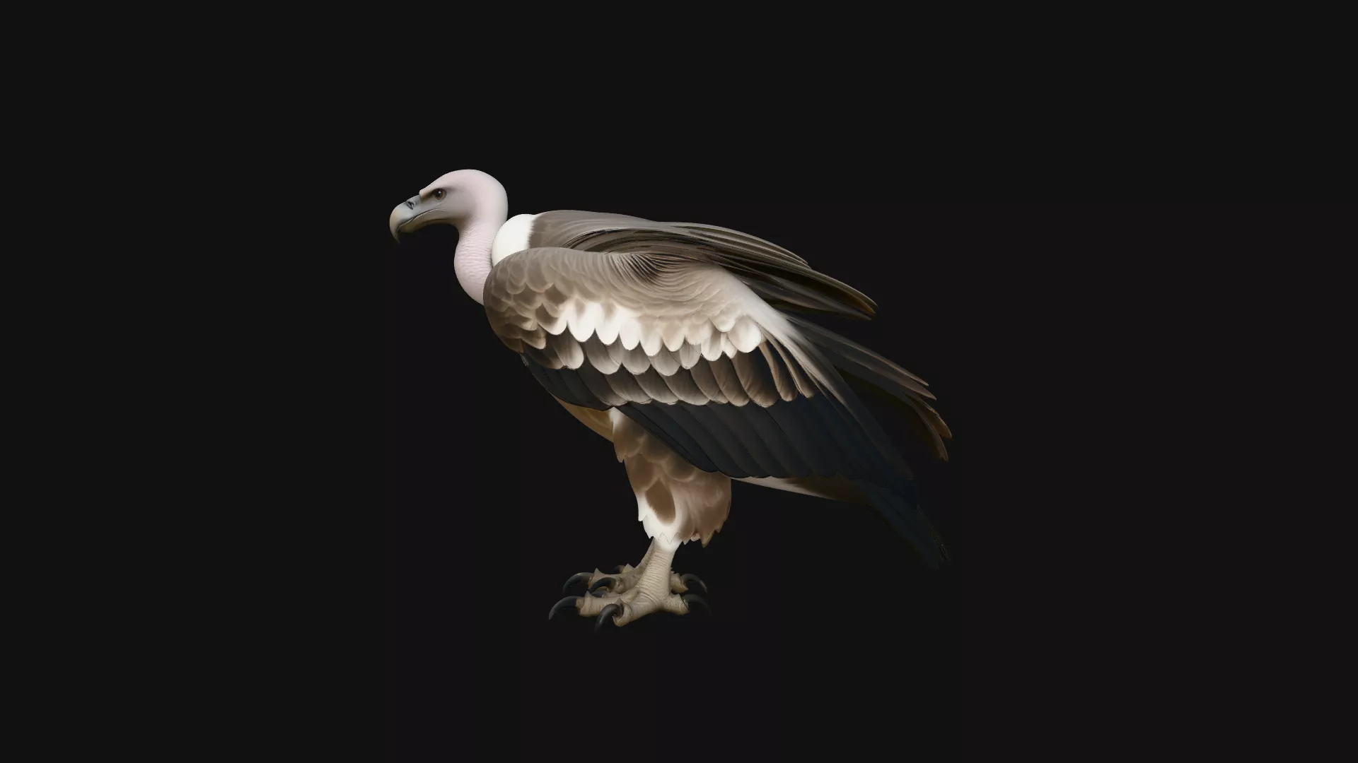 Griffon Vulture Statue Design 3 - 3D Print Model 3D print model