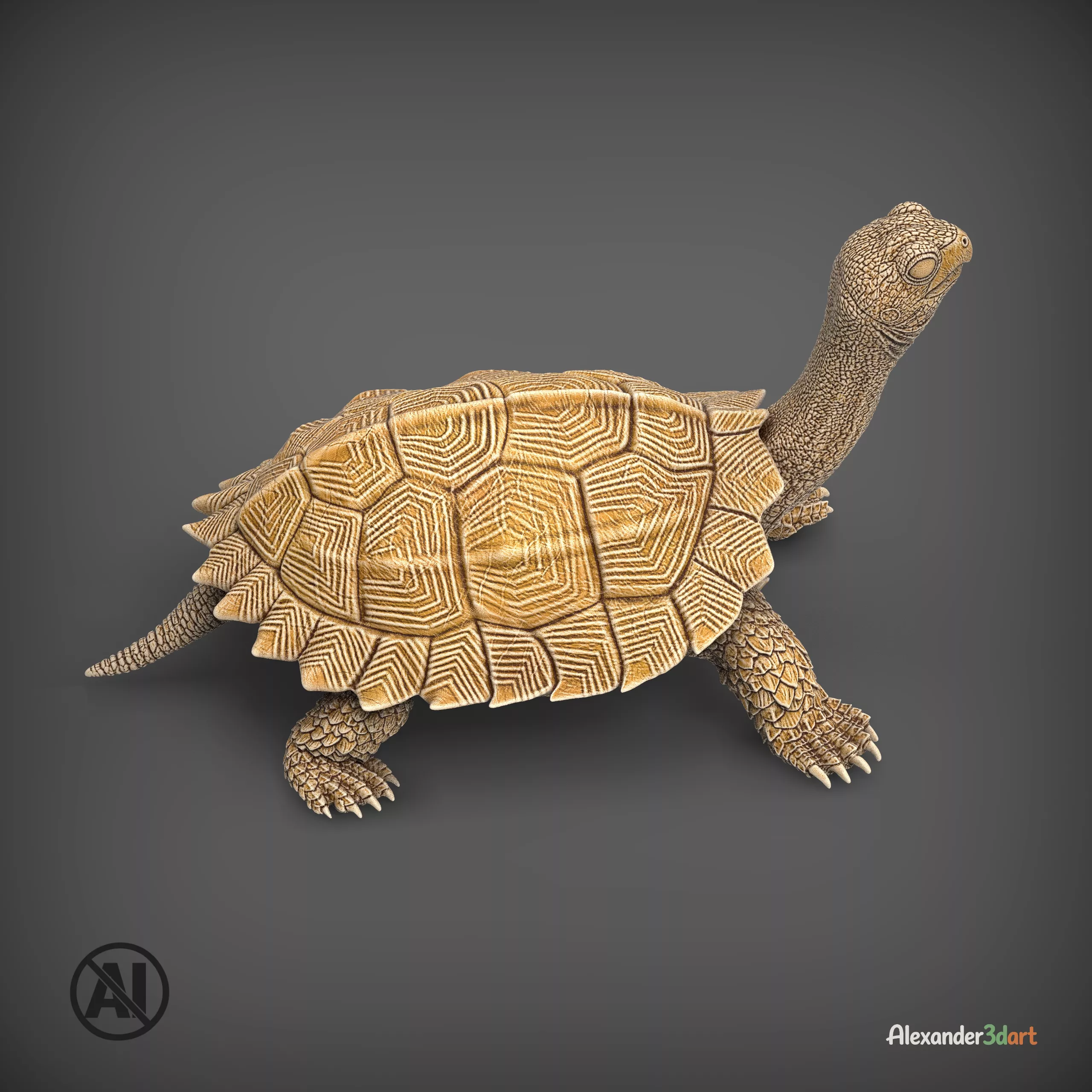 Vietnamese Black-breasted Leaf Turtles 3D print model