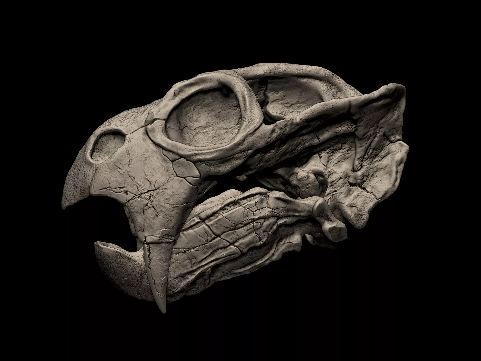 Diictodon Skull 3D print model